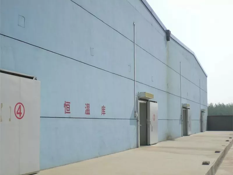 Steel Structure Txias Cia Warehouse